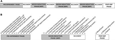 The Influence of Affective State on Subjective-Report Measurements: Evidence From Experimental Manipulations of Mood